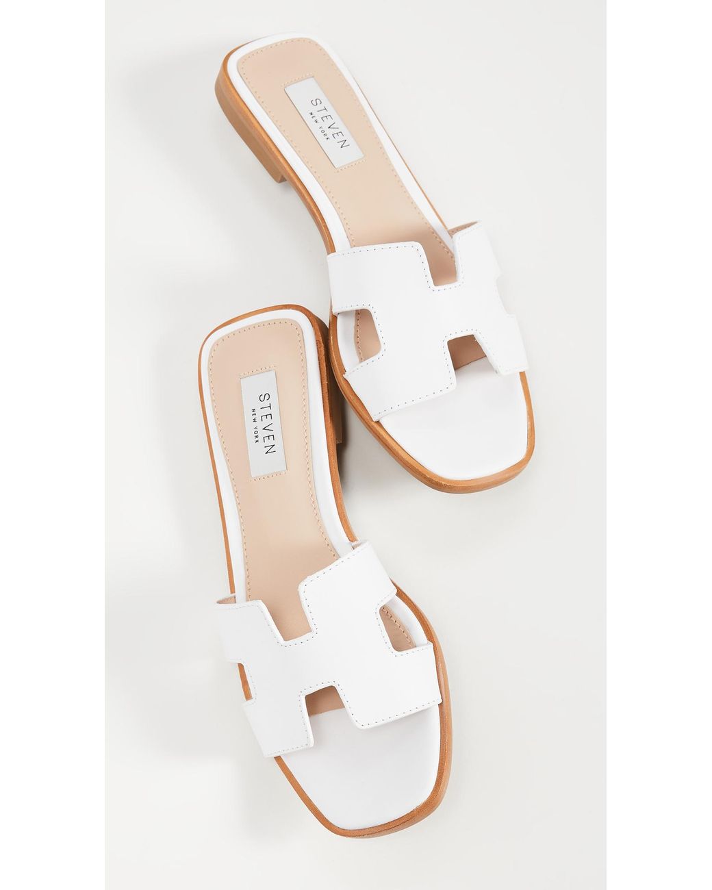 Steve sales madden slides